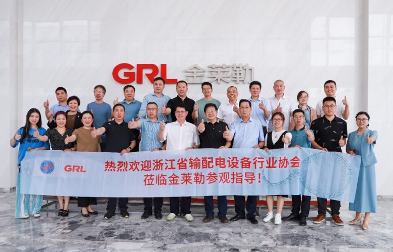 2023.6.5 GRL Information| Le président honoraire Xiang Zhongxiao et sa délégation de l’Association de l’industrie de l’équipement de transmission et de distribution du Zhejiang ont visité GRL pour obtenir des conseils